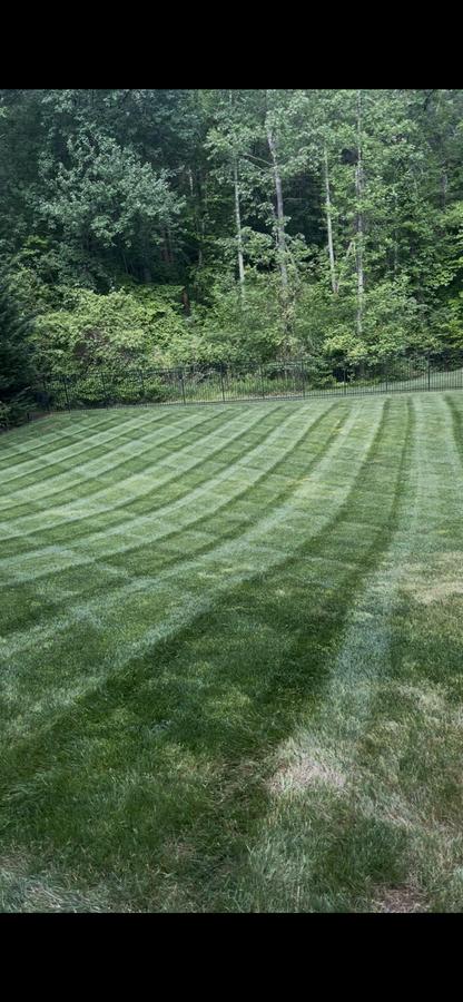 Diamond stripe lawn pattern