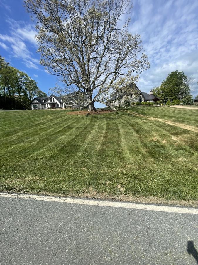 Precision lawn care at residential property — Foothills Outdoor Services